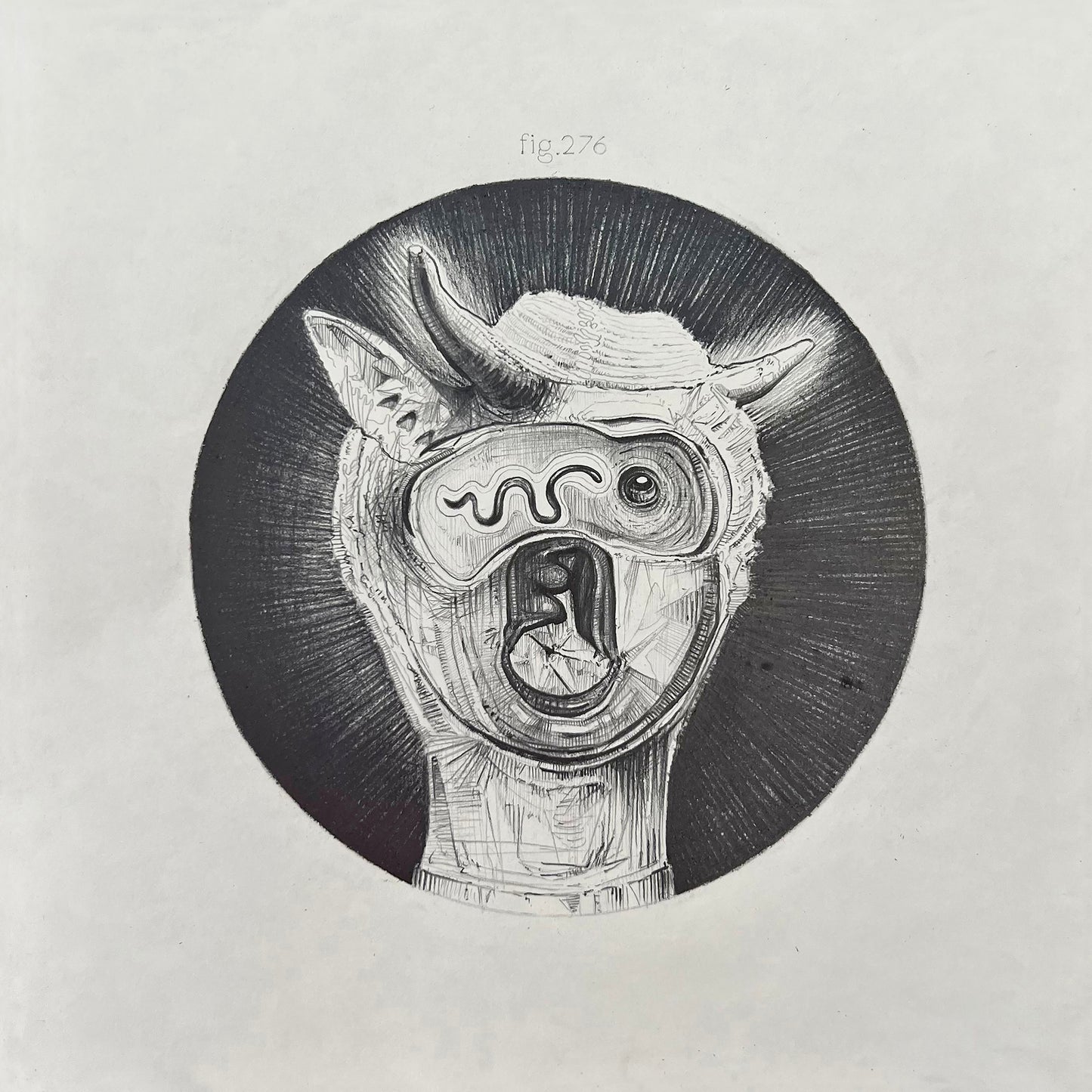 Jorge Rodríguez - ‘Fig. 276. Europa’